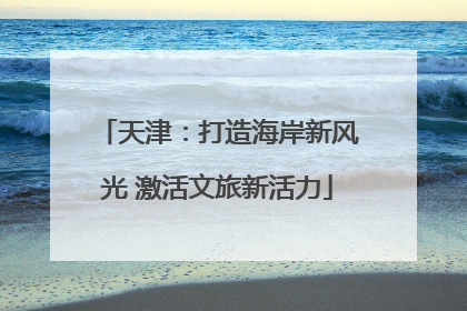 天津：打造海岸新风光 激活文旅新活力