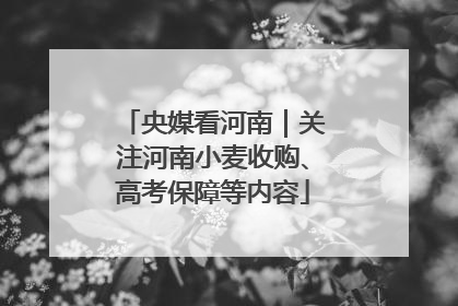 央媒看河南｜关注河南小麦收购、高考保障等内容