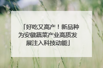 好吃又高产！新品种为安徽蔬菜产业高质发展注入科技动能