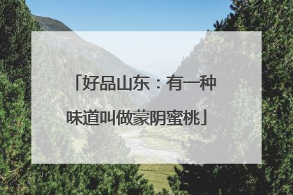 好品山东：有一种味道叫做蒙阴蜜桃