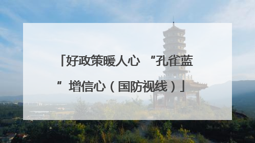 好政策暖人心 “孔雀蓝”增信心（国防视线）
