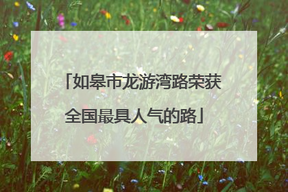 如皋市龙游湾路荣获全国最具人气的路
