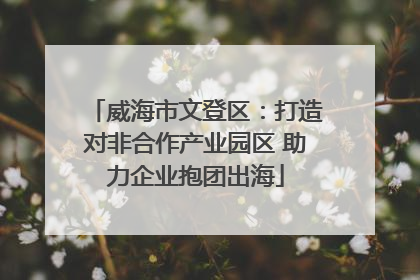 威海市文登区：打造对非合作产业园区 助力企业抱团出海