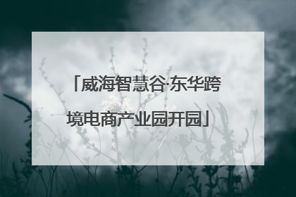 威海智慧谷·东华跨境电商产业园开园