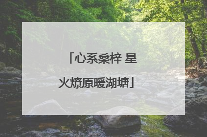 心系桑梓 星火燎原暖湖塘