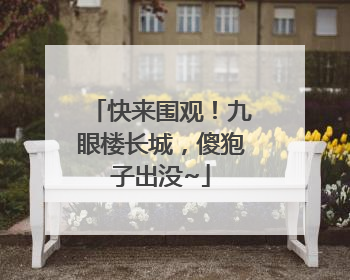 快来围观！九眼楼长城，傻狍子出没~