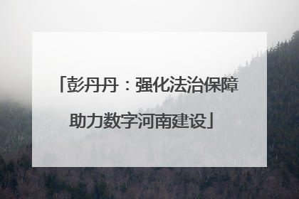 彭丹丹：强化法治保障 助力数字河南建设