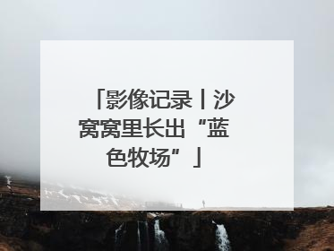 影像记录丨沙窝窝里长出“蓝色牧场”