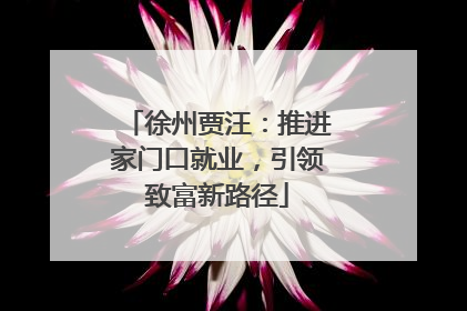 徐州贾汪：推进家门口就业，引领致富新路径