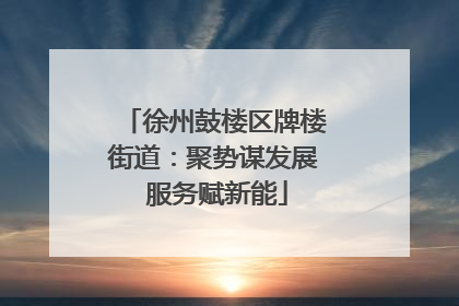 徐州鼓楼区牌楼街道：聚势谋发展 服务赋新能