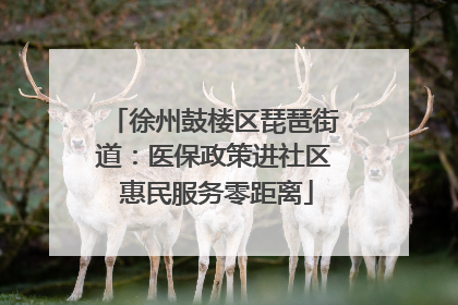 徐州鼓楼区琵琶街道：医保政策进社区 惠民服务零距离