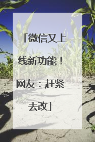 微信又上线新功能！网友：赶紧去改