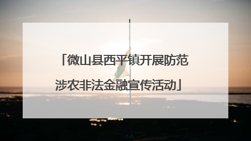 微山县西平镇开展防范涉农非法金融宣传活动