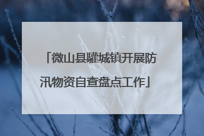微山县驩城镇开展防汛物资自查盘点工作