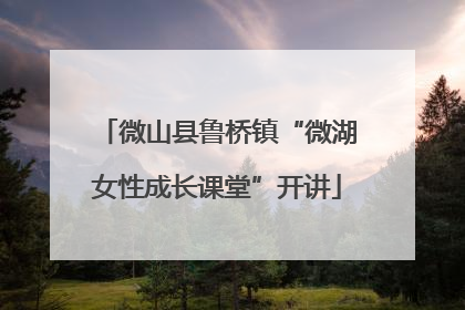 微山县鲁桥镇“微湖女性成长课堂”开讲