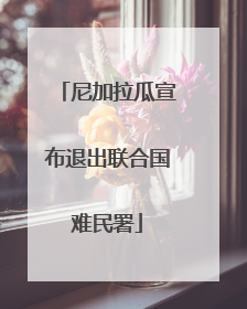 尼加拉瓜宣布退出联合国难民署
