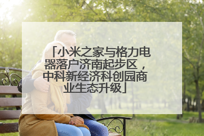 小米之家与格力电器落户济南起步区，中科新经济科创园商业生态升级