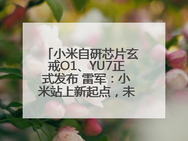 小米自研芯片玄戒O1、YU7正式发布 雷军：小米站上新起点，未来五年研发翻倍再投2000亿元