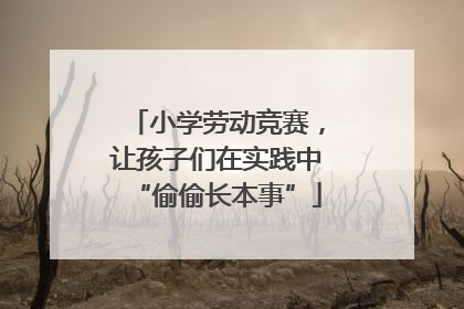 小学劳动竞赛，让孩子们在实践中“偷偷长本事”