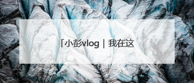 小彭vlog｜我在这场跨界的湾区论坛上，出了一道高考题……