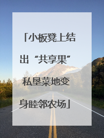 小板凳上结出“共享果” 私垦菜地变身睦邻农场