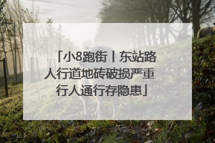 小8跑街丨东站路人行道地砖破损严重 行人通行存隐患