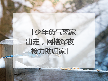 少年负气离家出走，网格深夜接力助归家