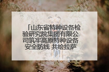 山东省特种设备检验研究院集团有限公司筑牢高原特种设备安全防线 共绘拉萨美好生活画卷