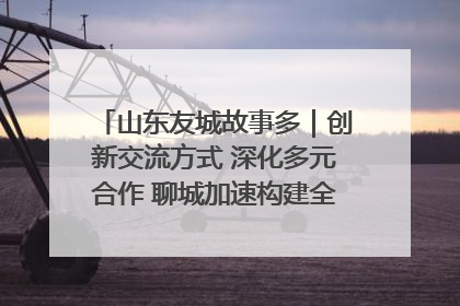 山东友城故事多｜创新交流方式 深化多元合作 聊城加速构建全球友城新格局