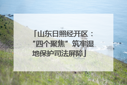 山东日照经开区：“四个聚焦”筑牢湿地保护司法屏障