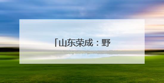 山东荣成：野生海参采捕忙