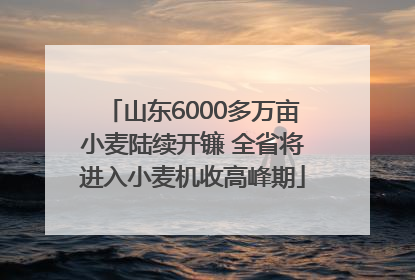 山东6000多万亩小麦陆续开镰 全省将进入小麦机收高峰期