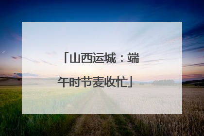 山西运城：端午时节麦收忙