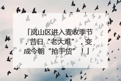 岚山区进入麦收季节，昔日“老大难”，变成今朝“抢手货”！