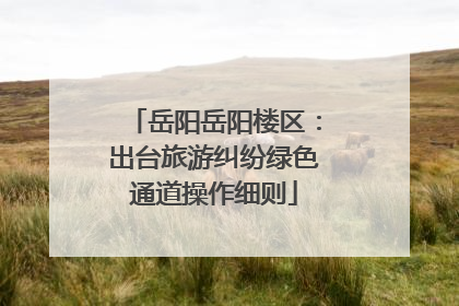 岳阳岳阳楼区：出台旅游纠纷绿色通道操作细则