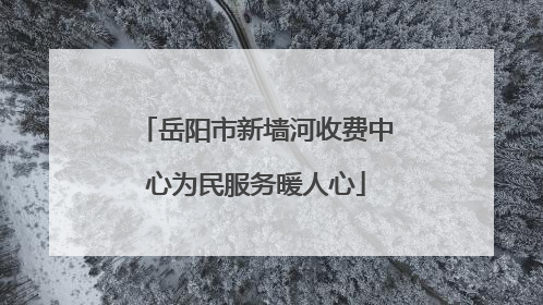 岳阳市新墙河收费中心为民服务暖人心