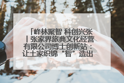 峰林聚智 科创兴张丨张家界旅典文化经营有限公司博士创新站：让土家织锦“智”造出非遗新传奇