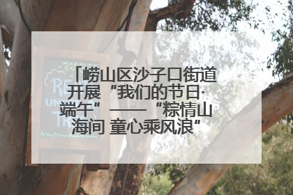 崂山区沙子口街道开展“我们的节日·端午”——“粽情山海间 童心乘风浪”文明实践活动