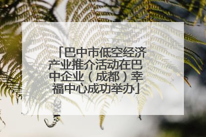 巴中市低空经济产业推介活动在巴中企业（成都）幸福中心成功举办