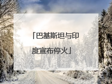 巴基斯坦与印度宣布停火