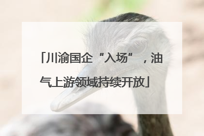 川渝国企“入场”，油气上游领域持续开放