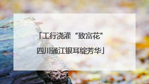 工行浇灌“致富花” 四川通江银耳绽芳华