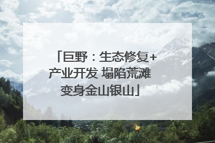 巨野：生态修复+产业开发 塌陷荒滩变身金山银山