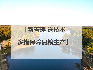 帮管理 送技术 多措保障夏粮生产