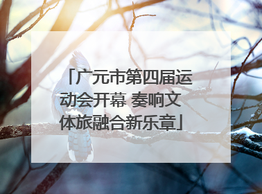广元市第四届运动会开幕 奏响文体旅融合新乐章