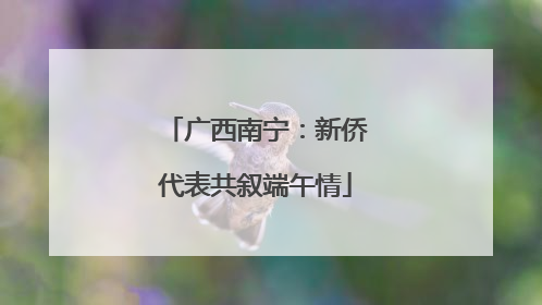 广西南宁：新侨代表共叙端午情