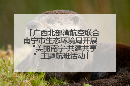 广西北部湾航空联合南宁市生态环境局开展“美丽南宁·共建共享”主题航班活动
