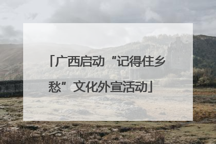 广西启动“记得住乡愁”文化外宣活动