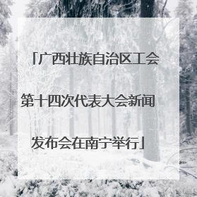 广西壮族自治区工会第十四次代表大会新闻发布会在南宁举行