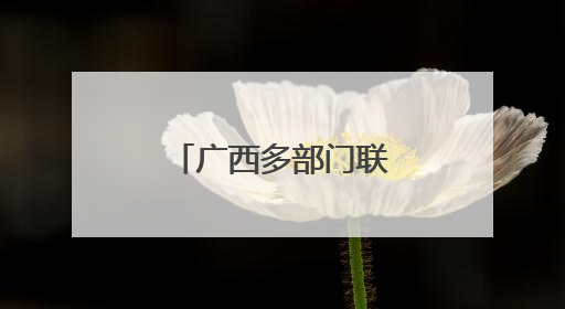 广西多部门联合发布残疾人权益典型案例